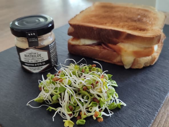 Sandwich façon grilled cheese scarmoza, coppa et truffe d'été