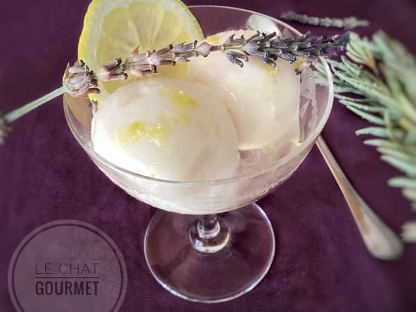 Sorbet citron lavande