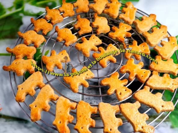 Les zanimaux