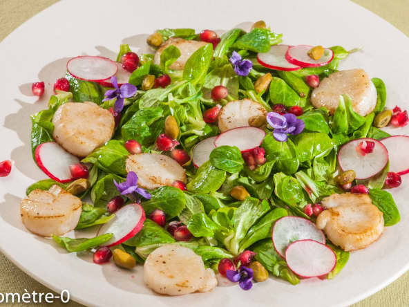 Salade de saint jacques aux pistaches et à la grenade
