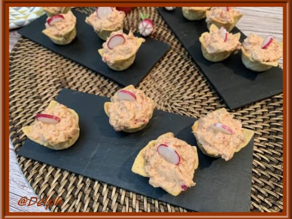 Tartinade de thon aux radis et fromage frais