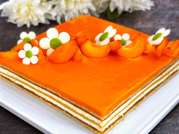 L'entremets Santa Ana