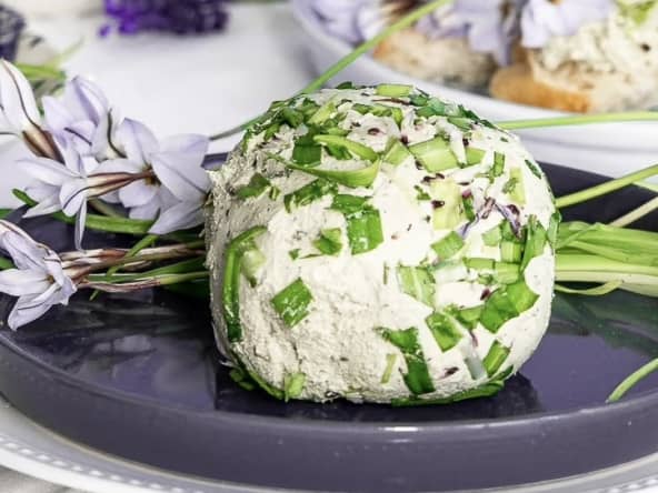 Fromage frais vegan aux plantes sauvages