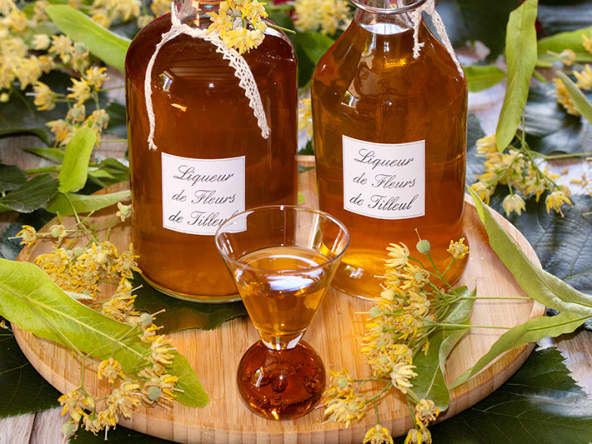 Liqueur aux fleurs de tilleul