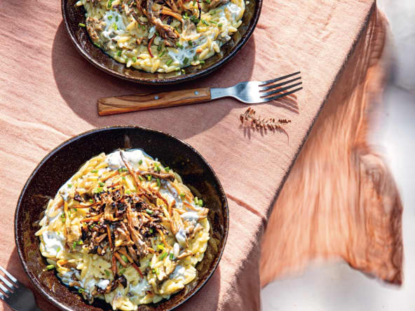 2 assiettes de kritharoto au yaourt, champignons sauvages et truffe