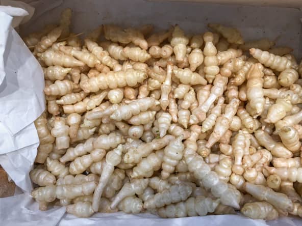 Les crosnes