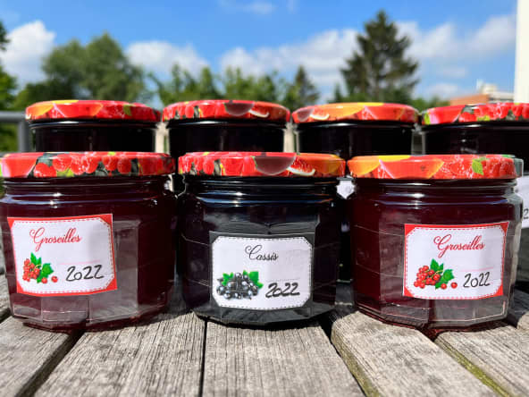 Gelée et sirop de groseilles et cassis