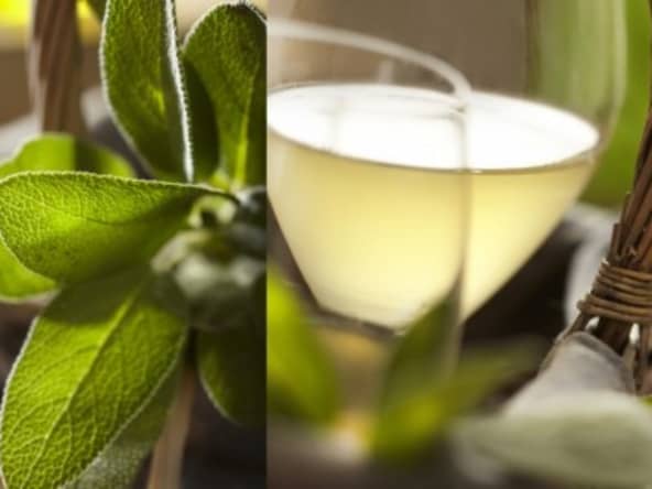 Vin blanc glacé à la sauge et au miel : une recette pour un apéro d'été