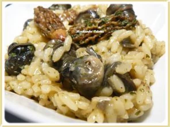 Risotto aux Escargots et aux Morilles