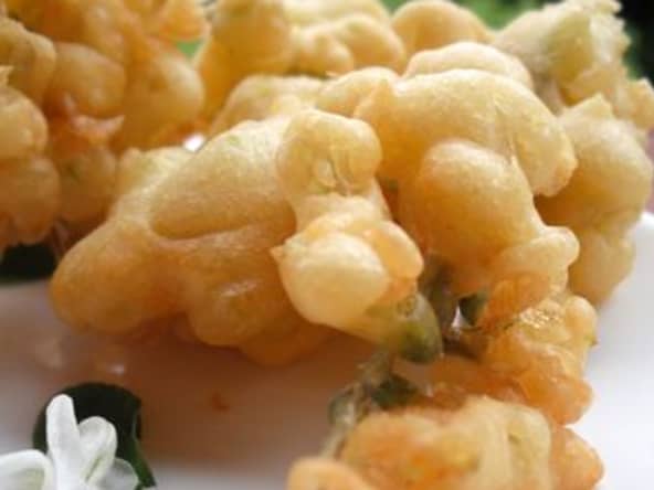 Beignets de fleurs d'acacia