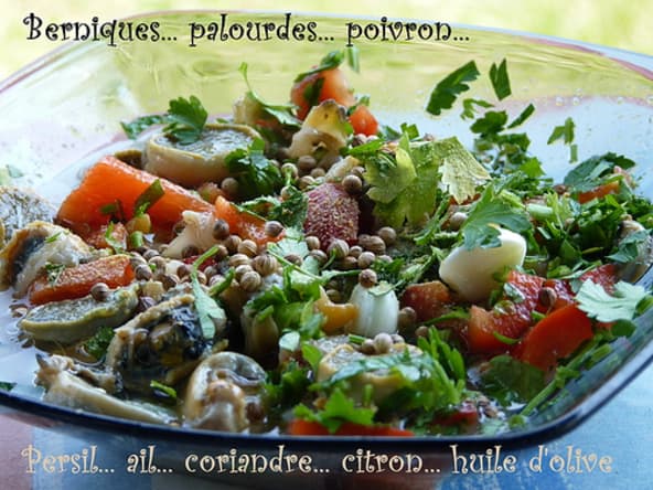 Berniques, palourdes et coques en marinade