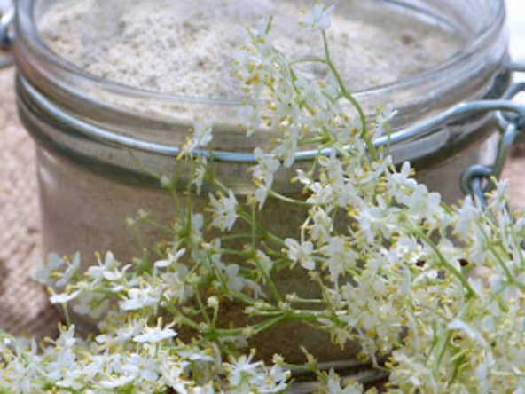 Sucre de fleurs de sureau