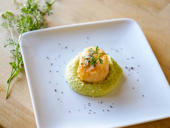Noix de saint Jacques sur crème de fèves
