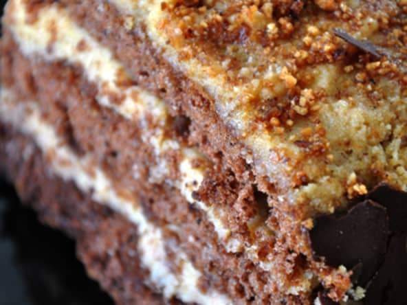 Génoise au chocolat et mousse de mascarpone au praliné