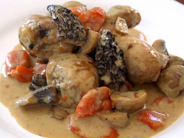 Blanquette de volaille aux morilles