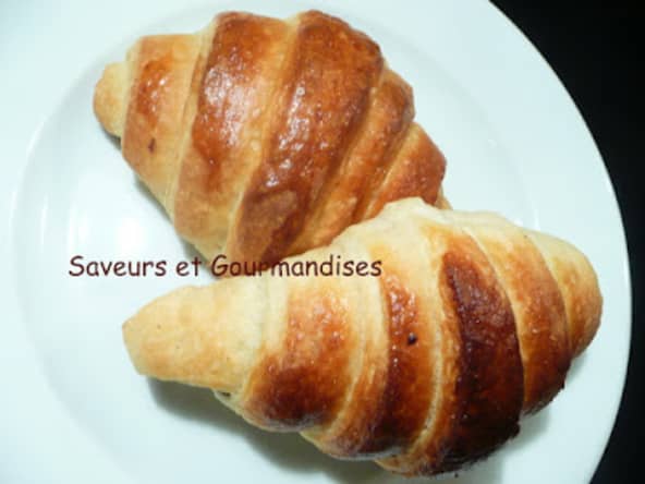 Chocolatines de C. Felder.