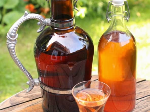 Hydromel aux baies de sureau