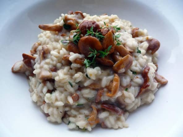 Risotto aux chanterelles