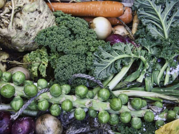 Récolte de légumes d'hiver