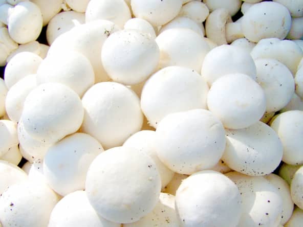Champignons de Paris