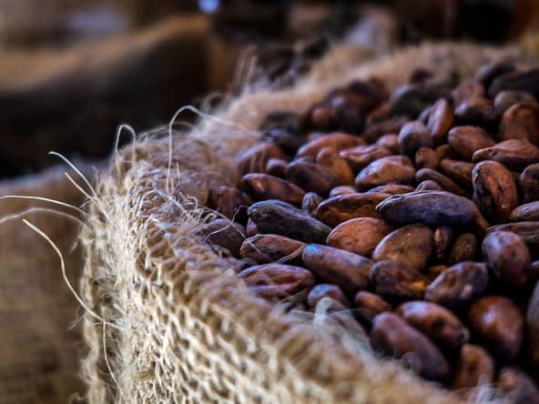 Cacao