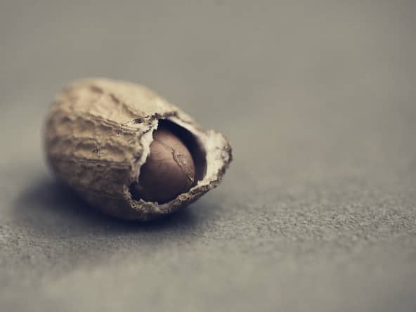 Cacahuète dans sa gousse