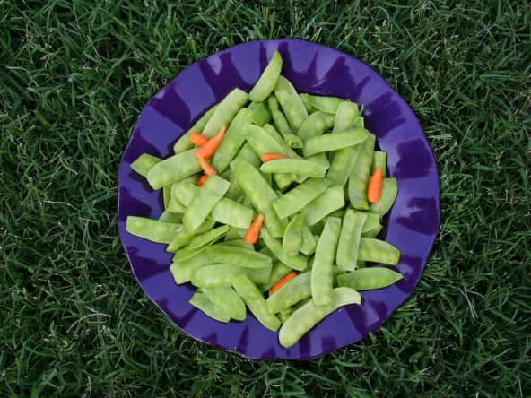 Assiette de pois gourmands et jeunes carottes