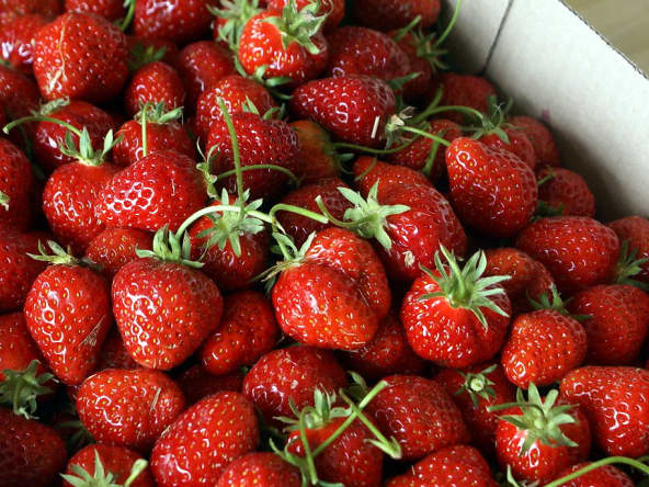 Fraises en caissette