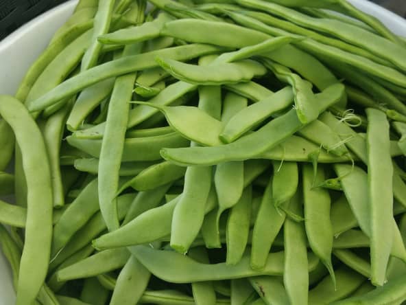 Haricots plats frais dans un saladier