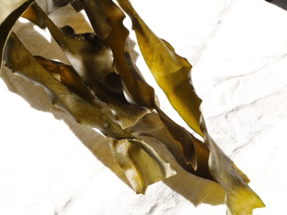 Kombu