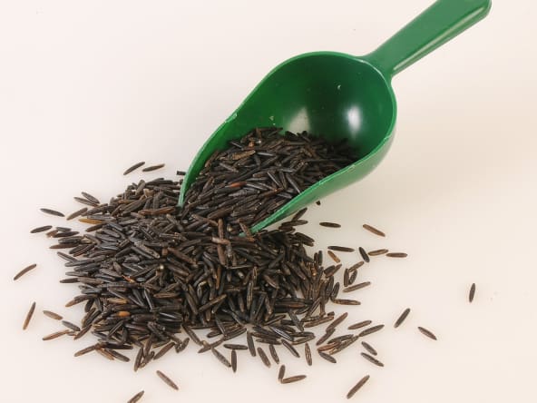 Riz sauvage
