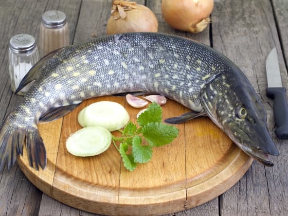 Brochet du lac d'Ayse