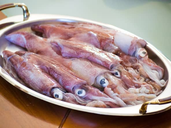 Plat de d'encornets frais