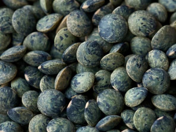 Lentilles vertes en vrac