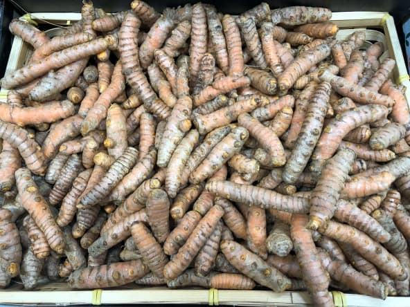 Cagette de rhizomes de curcuma bio