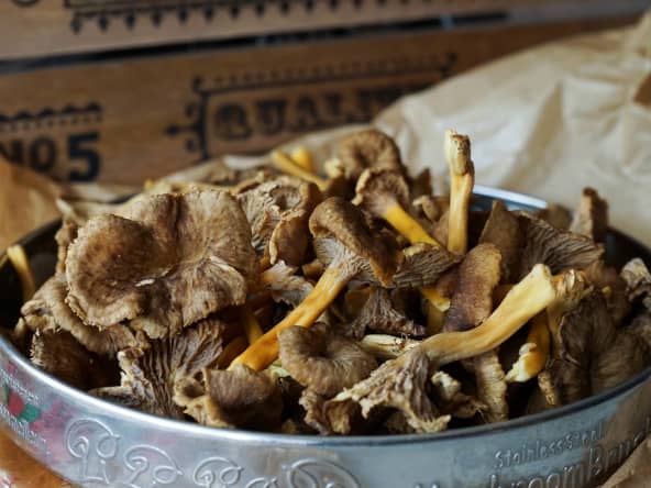 Chanterelles dans un plateau