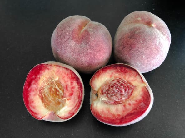 Pêches de vigne