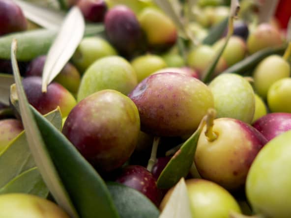 Olives