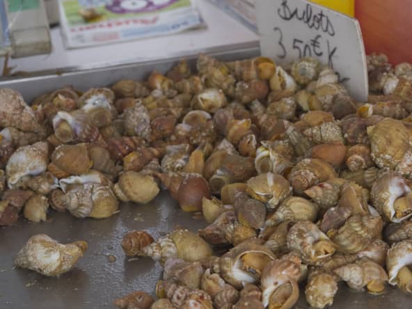 Bulots sur le marché en Normandie