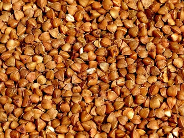Graines de sarrasin