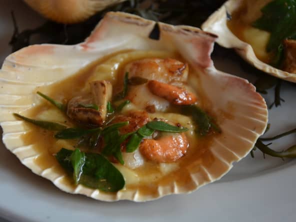 Coquille saint-jacques cuite au four