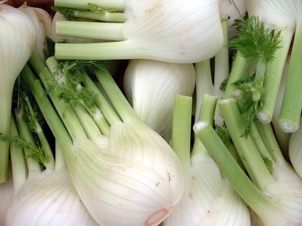 Bulbes de fenouil