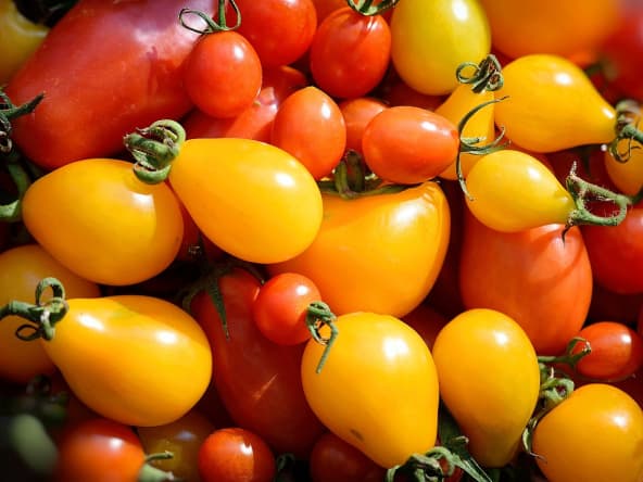 Tomates jaunes et rouges