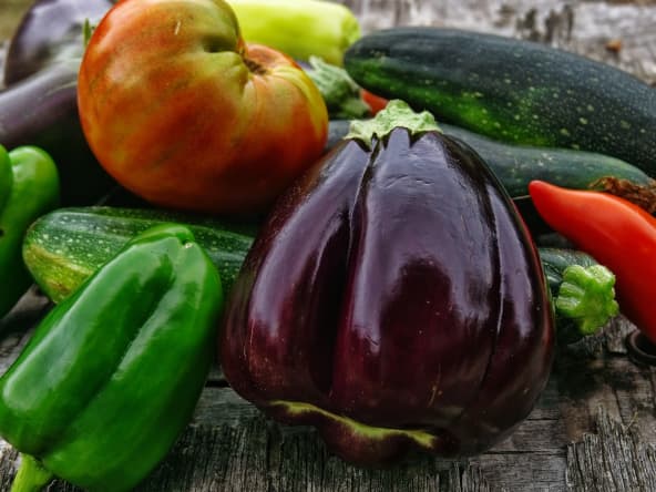 Aubergines, poivrons, tomates et courgettes