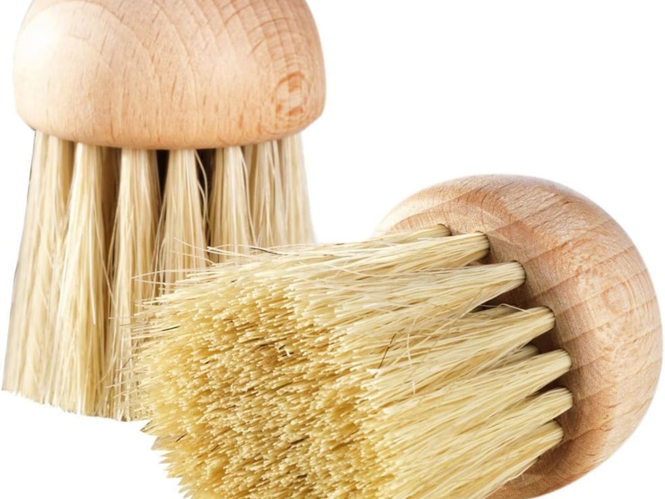 La brosse à champignons bois et poils de daim