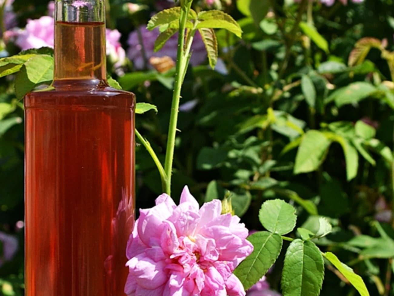 Sirop de pétales de roses de Damas aux notes florales envoutantes !