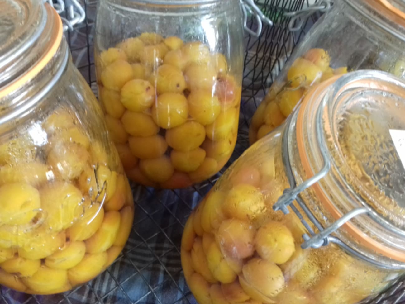 Comment préparer des conserves de mirabelles au naturel ? : recette