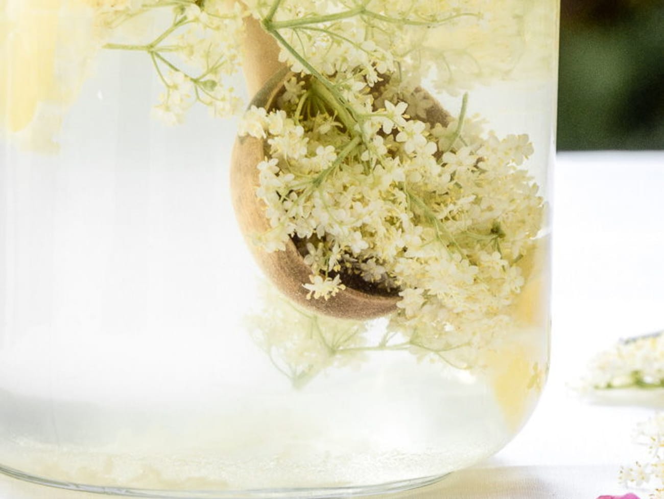 Limonade aux fleurs de sureau : recette Limonade aux fleurs de sureau