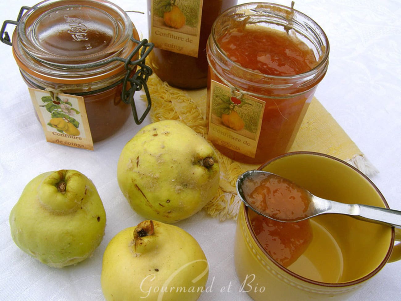 Confitures de coings et de châtaignes Recette par gourmand et bio