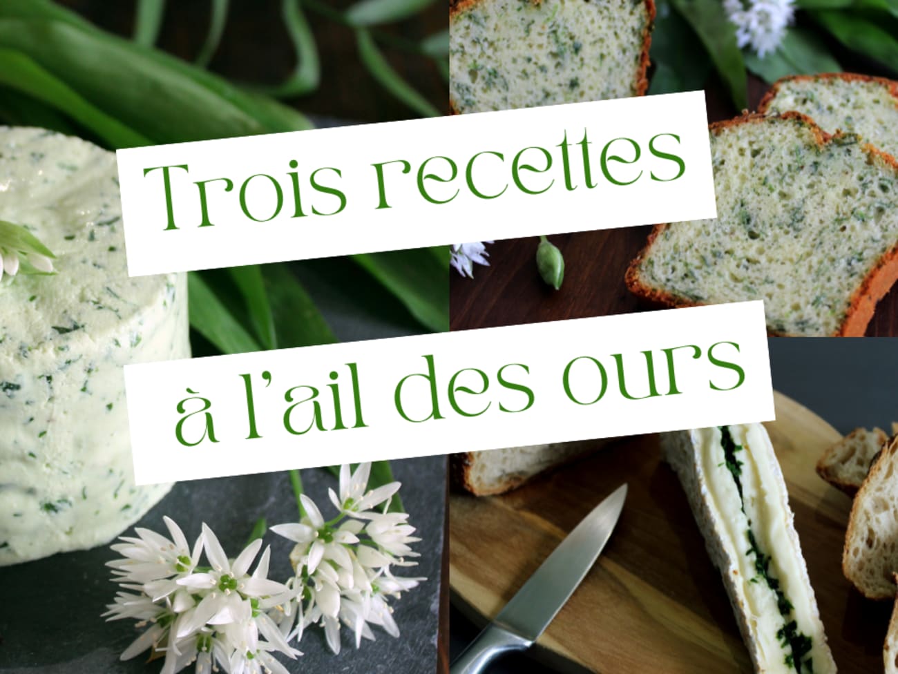 Cake, brie et fromage frais à l'ail des ours. 3 recettes gourmandes et simplissimes pour se régaler !